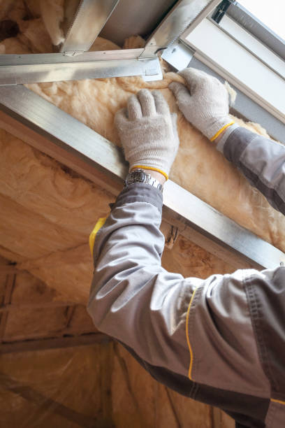 Best Garage Insulation  in Kilgore, TX